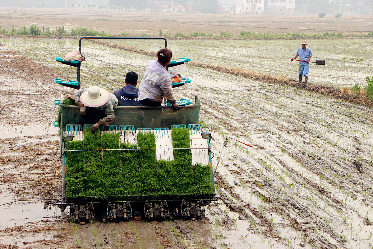 手动式水稻育苗覆土机推着沉重怎么办 帮我用300字描述