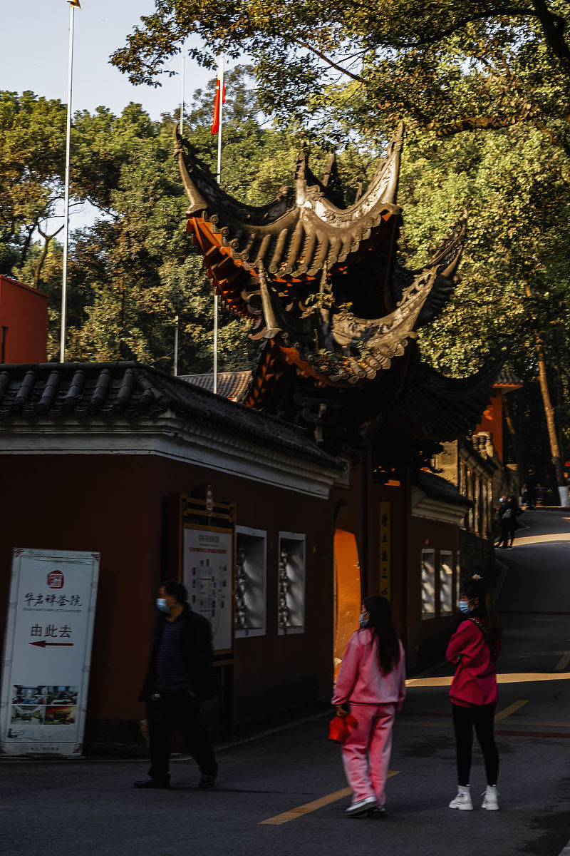 重庆卫校2021年招生分数用