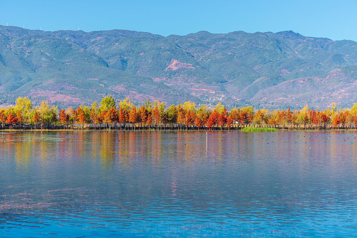 洱源县职业高级中学地址在哪里