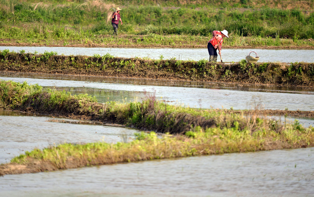 六安市叶集职业学校2021年招生条件：详解及报考指南