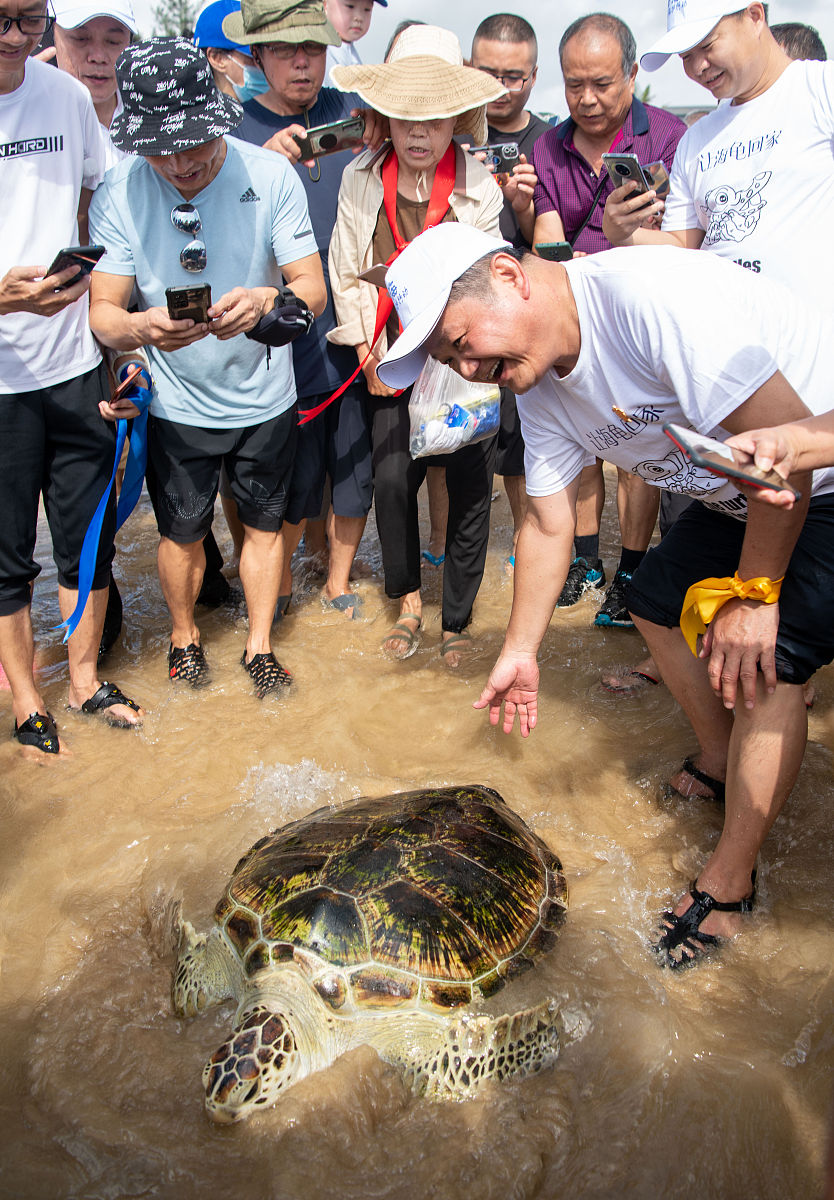 王八怎么烤好吃