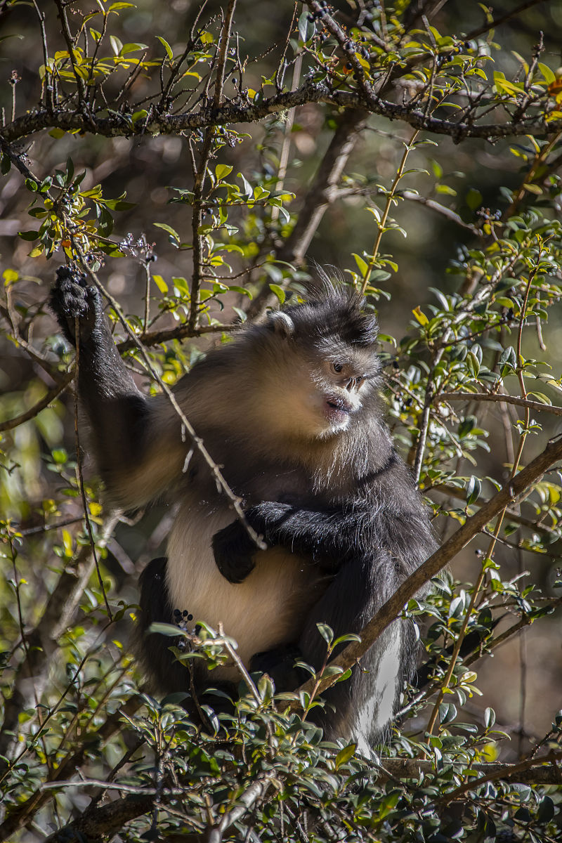 云南滇升兴隆经贸有限公司 - 贸易专家，值得信赖