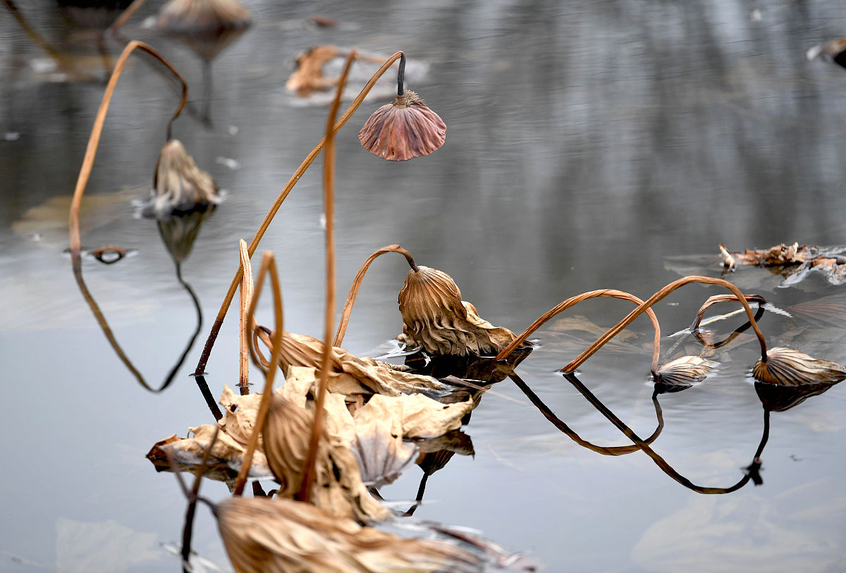 临汾职业技术学院畜牧兽医专业好不好发展前景怎样