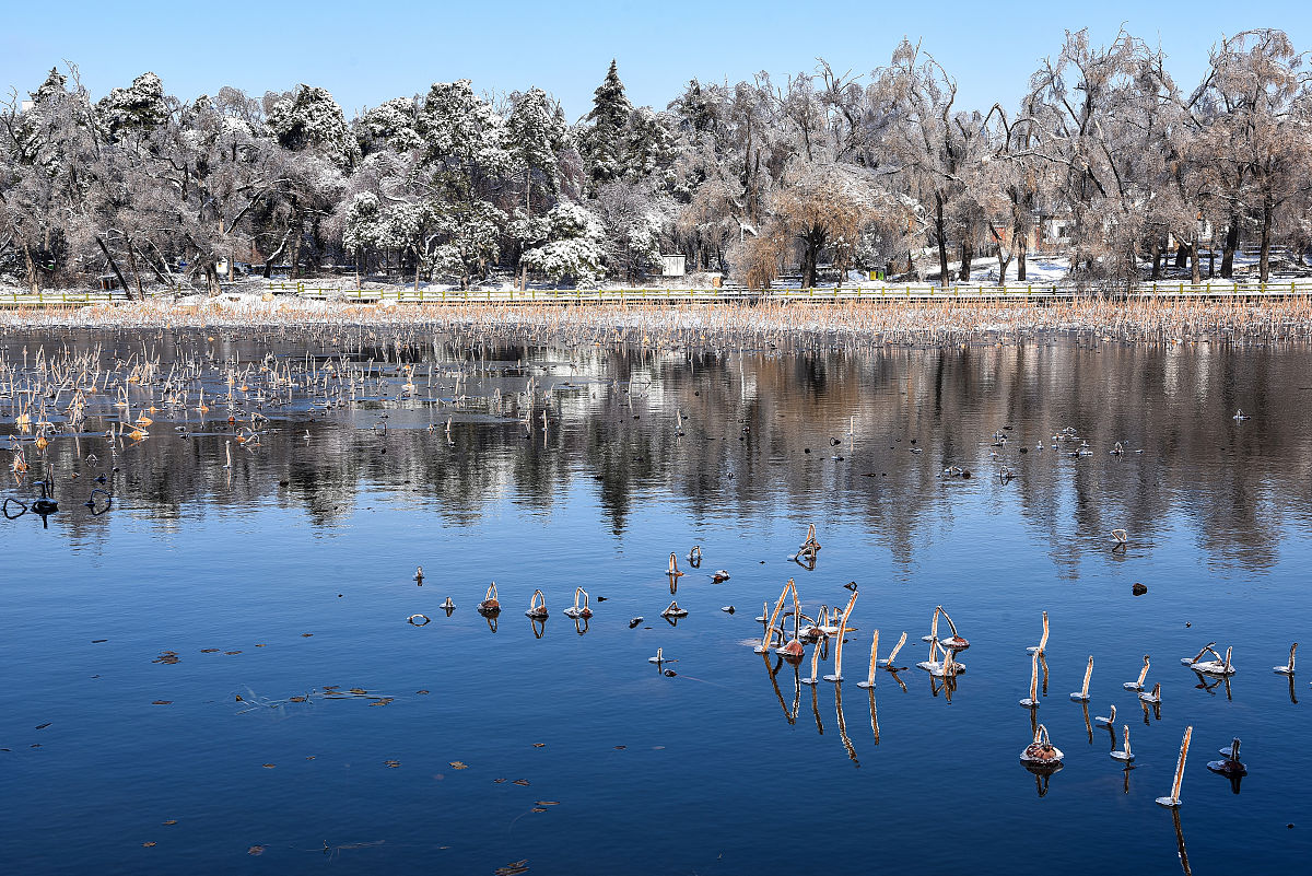 2020年11月20日,一场冻雨加大雪之后,长春整个城市变成水晶世界,南湖