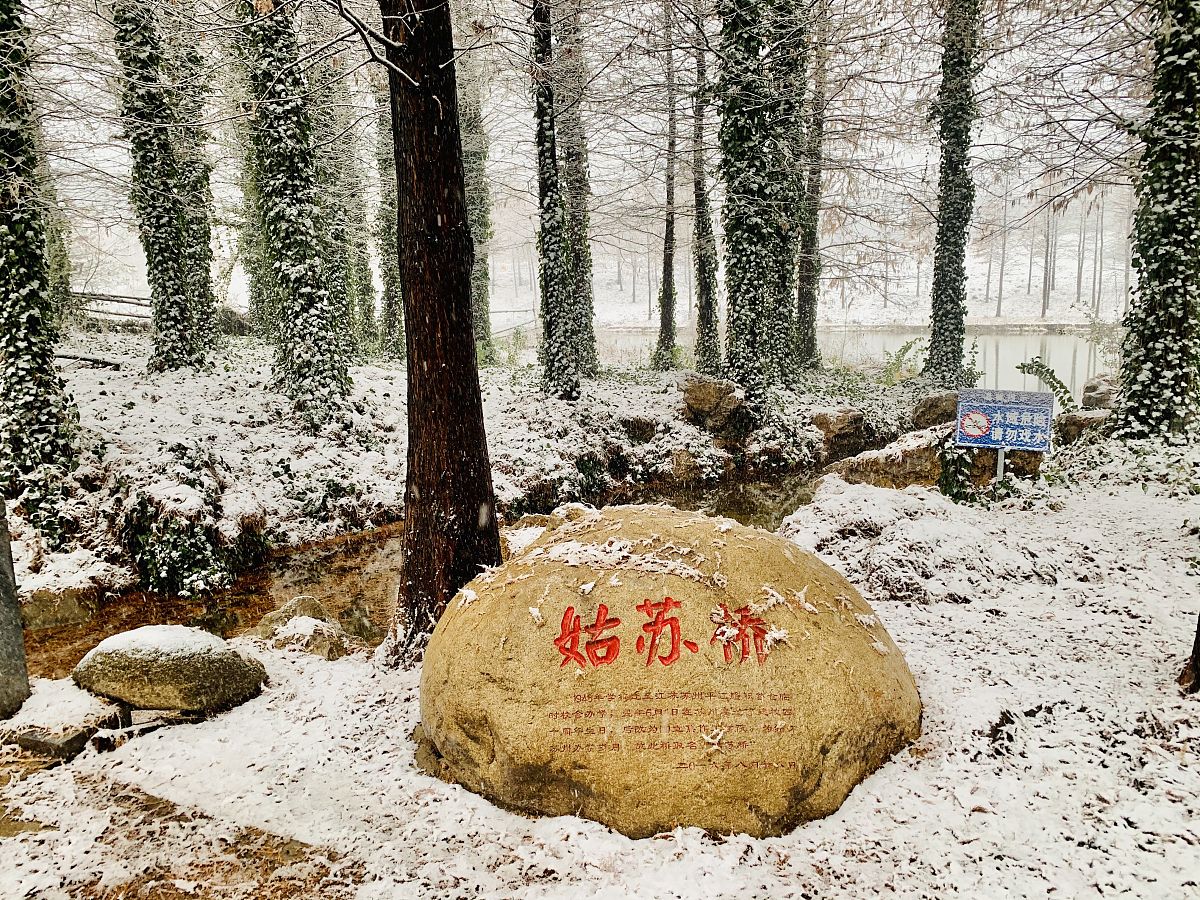 2020年12月29日,江苏徐州,中国矿业大学南湖校区迎来降雪天气.