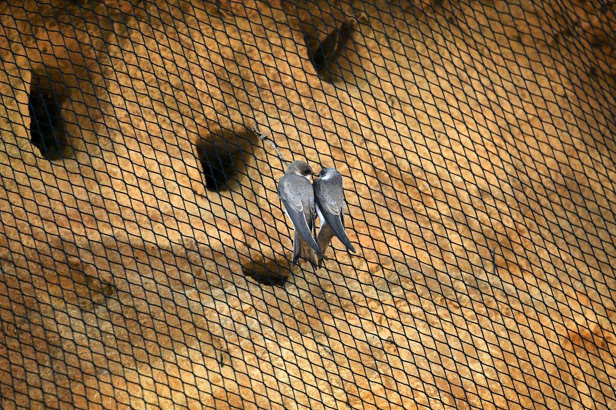 关于钦州市垃圾处理论文的文献综述