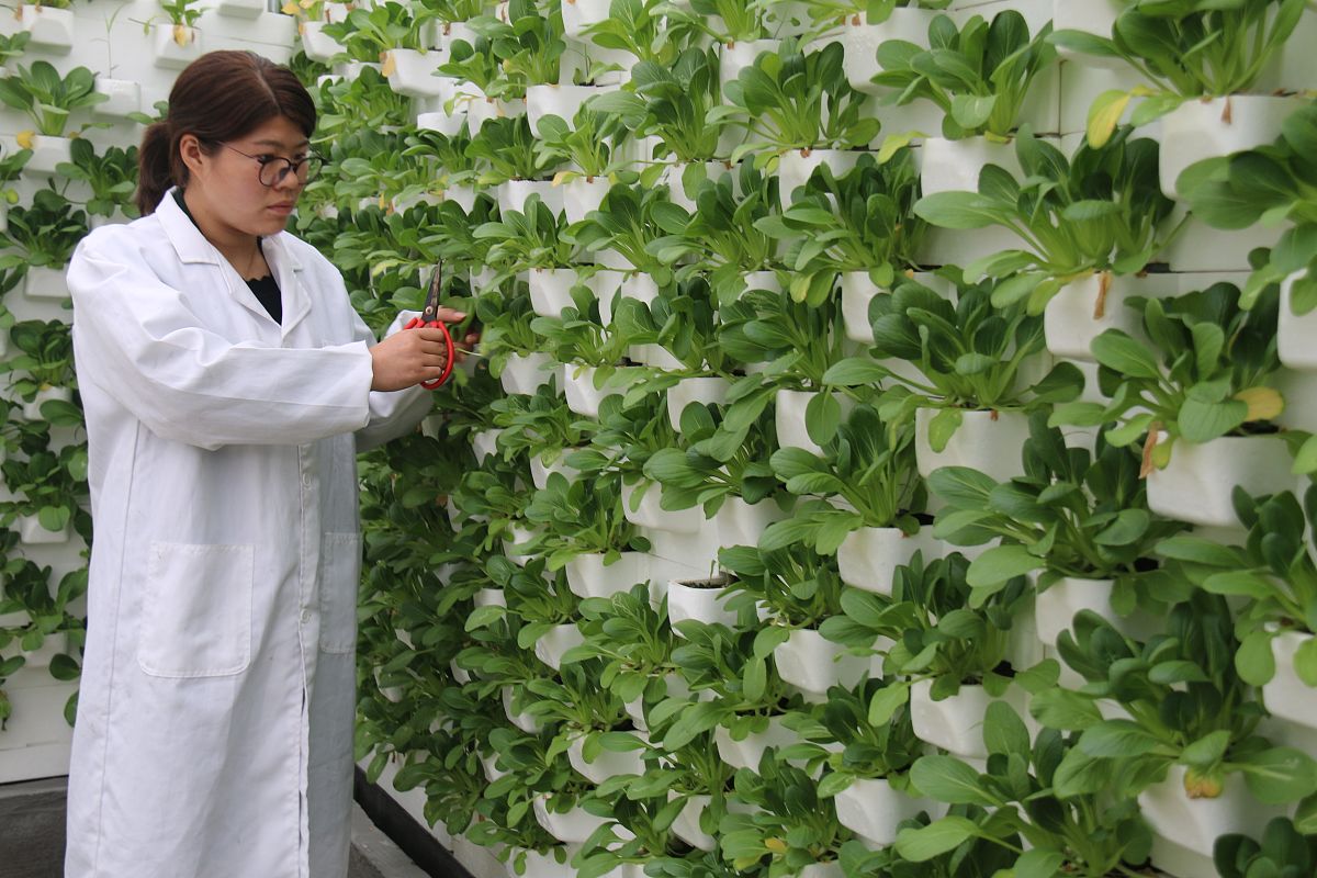 云南农业专业学校2019年五年制大专招生地址 - 农业人才培养的摇篮