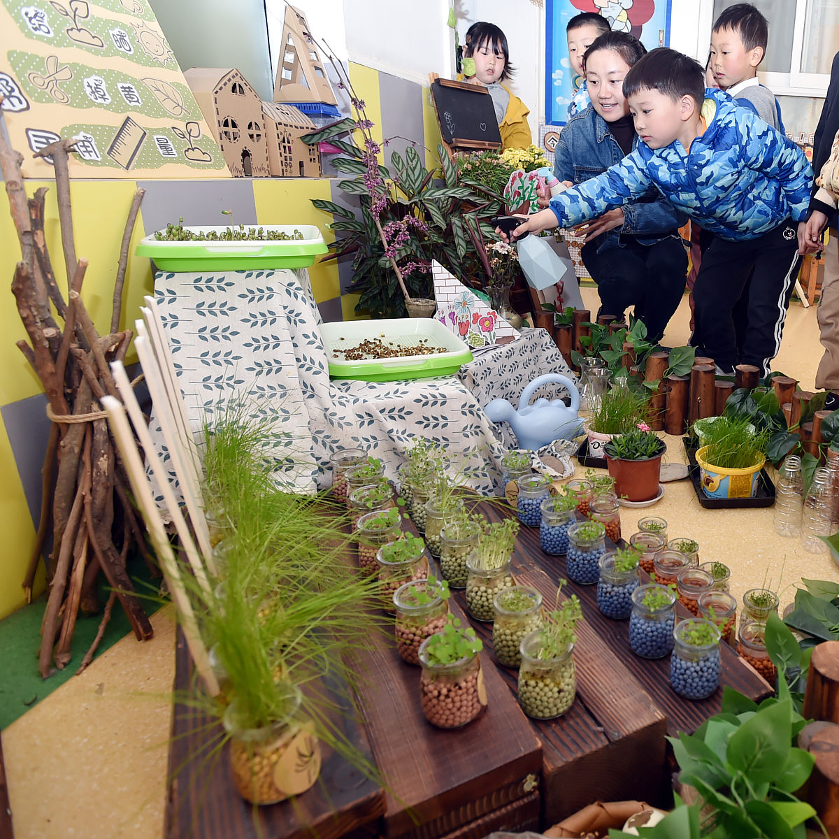 校园绿植的意义：不止于美化，更关乎成长