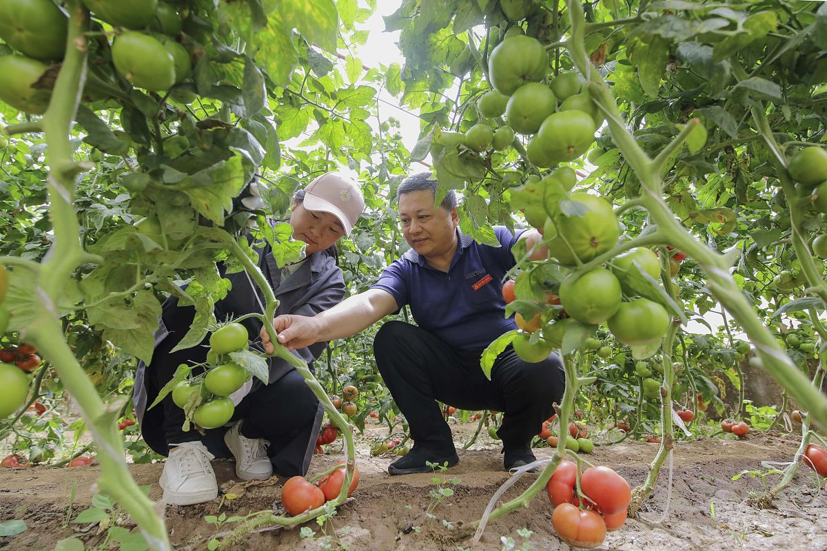 解方程 0.3x = 45 - 详细步骤和解答