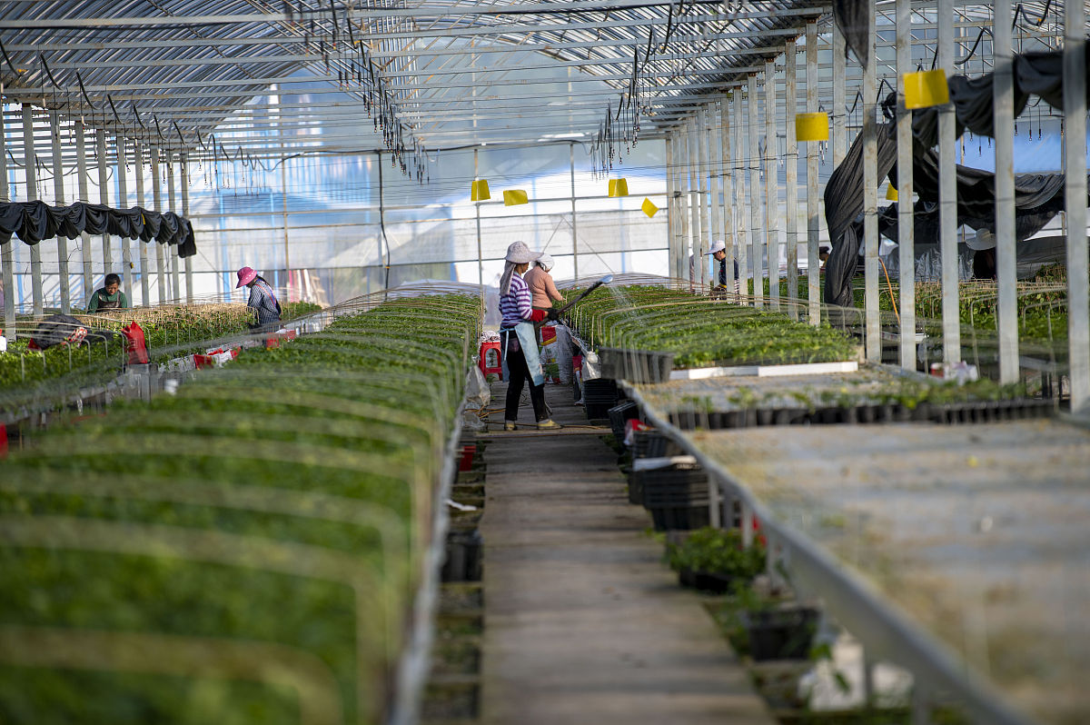 重庆农业学校设施农业技术招生 | 培养未来农业人才