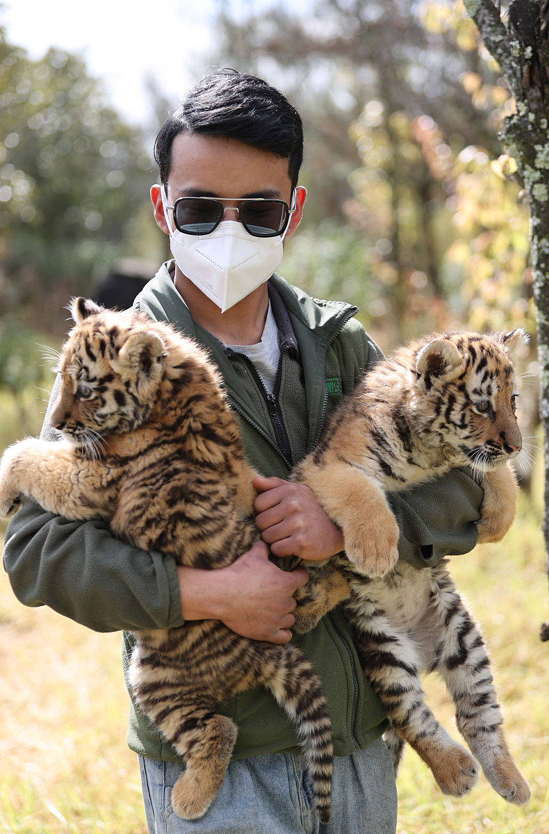 昆明卫校专业大专院校推荐 | 2022年最新入学指南