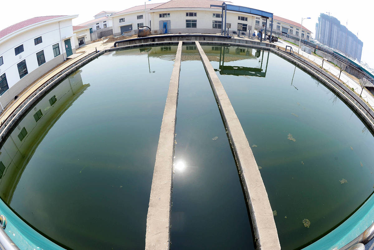 生石灰在水产养殖中的应用及作用