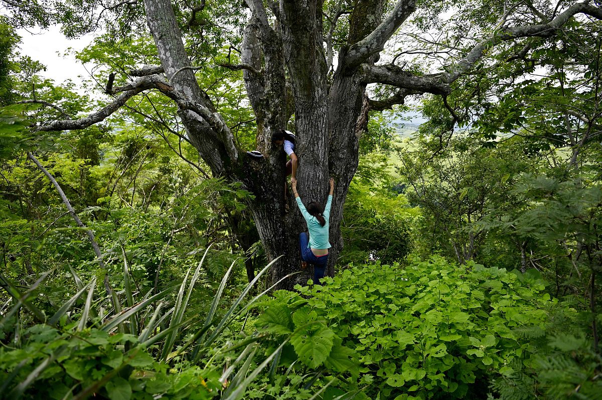 三年级下学期年级组工作总结重点讲解未来发展方向
