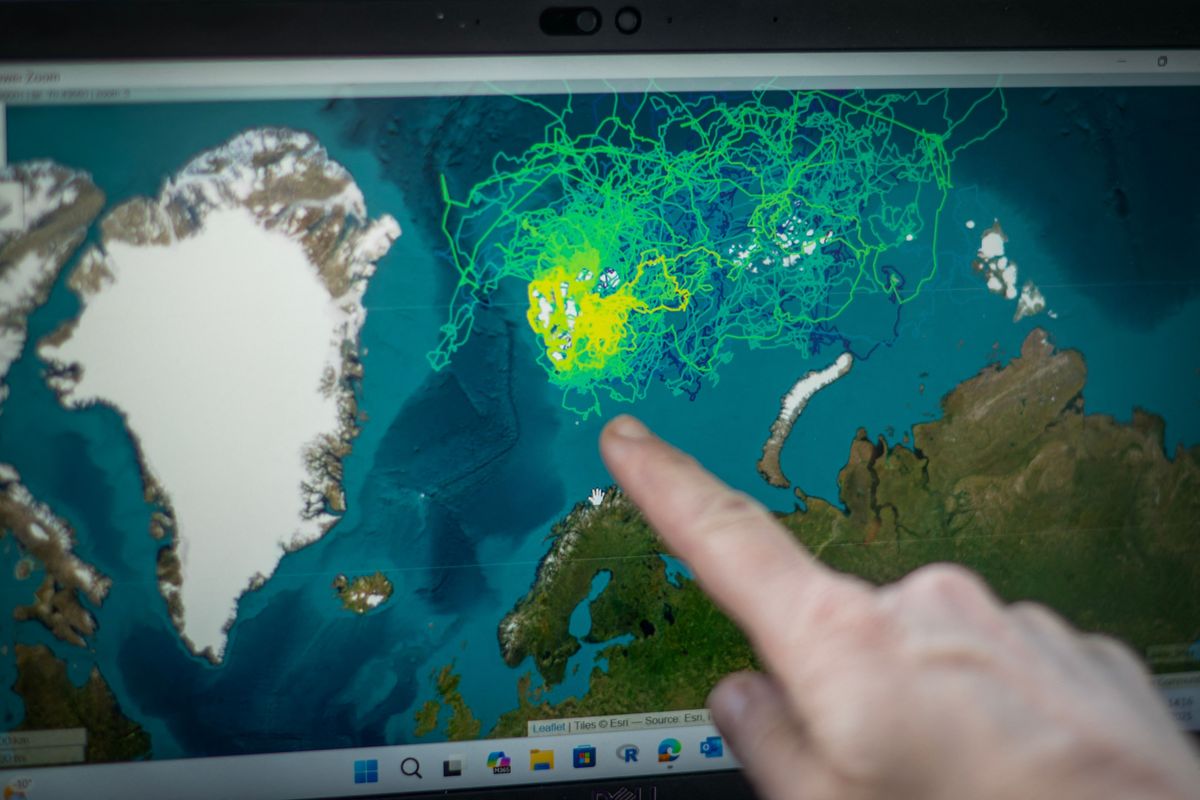 地理情境互动方式：提升地理学习体验的5种方法