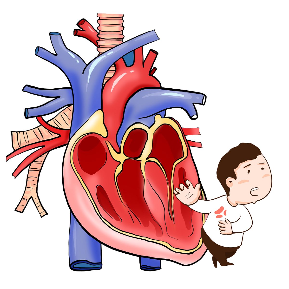 心脏病症状：常见表现及就医建议