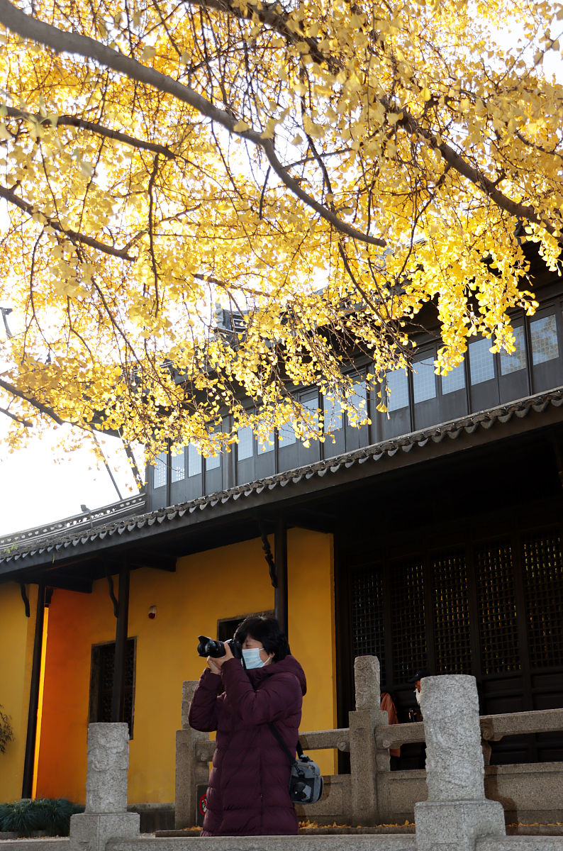 常州旅游商贸高职五年一贯制专业：最新消息及未来展望