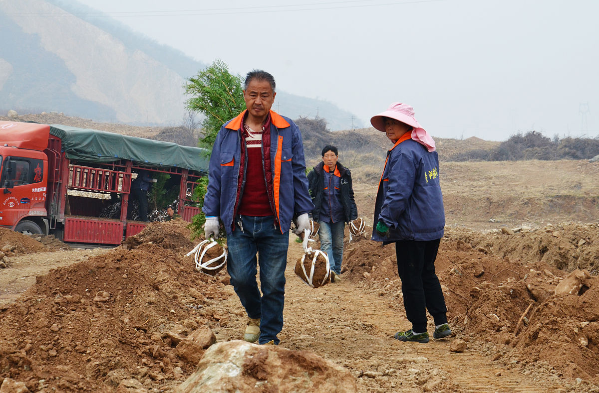 根据下面的内容写一篇1000个字文章近日一段视频引发了网友的关注和同情。视频中一名男子跪在地上磕头哭诉自己种植的万亩林场因为缺水而面临枯死的危险。他说他是四川盐亭人21年前在宁夏灵武市马家滩镇承包了万亩荒沙滩植树治沙但当地的双马煤矿破坏了他的水源导致他无法浇灌树木。他希望有关部门能够给他一个说法给他一个解决办法。这名男子叫孙国友他是一个退休的工程老总。2003年他在修筑毛乌素沙漠工路时发现这里有水
