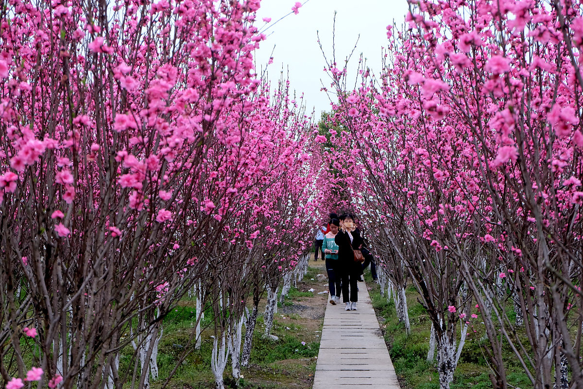 湖南民族职业学院会计电算化专业怎么样？ - 优势、就业前景分析
