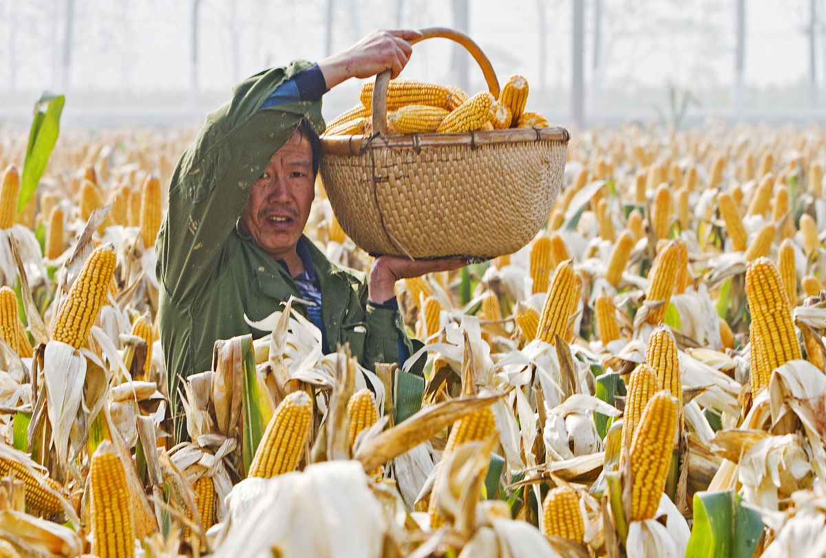 关于2023年中秋国庆两节安全工作方案