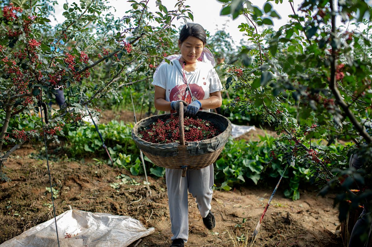 渭南2023年铁路学校在哪好不好
