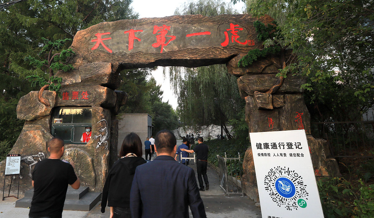 2020年9月4日,黑龙江省鸡西市,天下第一虎大型塑像,位于虎林市虎头旅