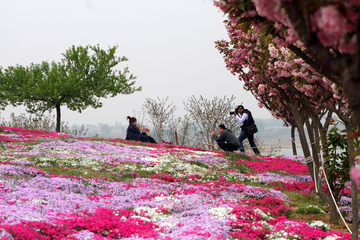 写一段针对公司劳务派遣员工激励方案优化研究的自我评价意见