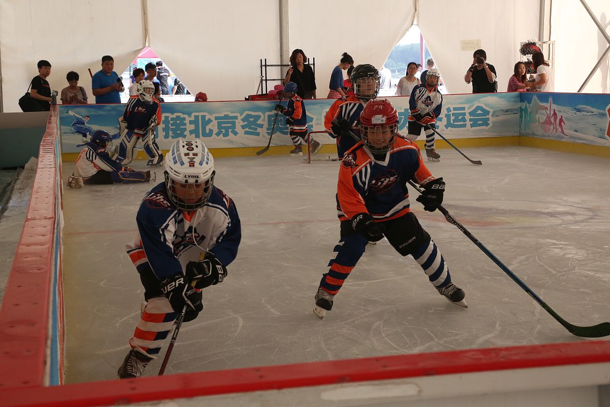 甘肃哪些学校开设有曲棍球专业