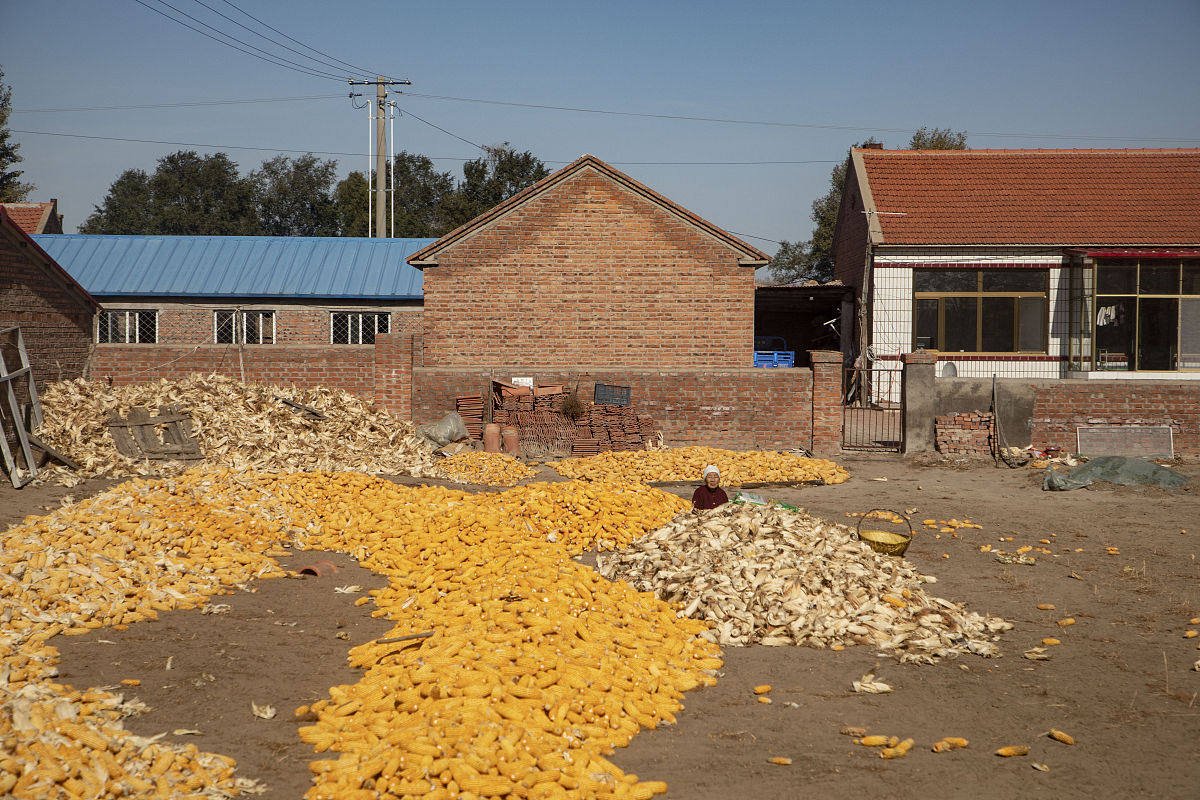 内蒙古通辽市媒体曝光热线电话：守护权益的利器