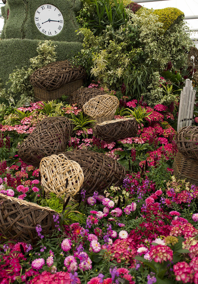 伦敦切尔西花展：一个园艺爱好者的圣地