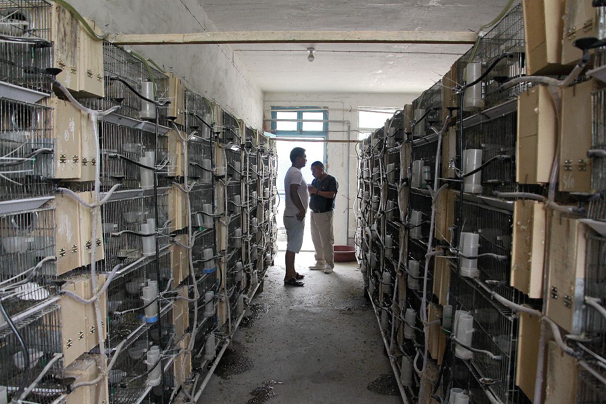 孝感卫校2022年招生简章 - 护理、影像等专业火热招生中！