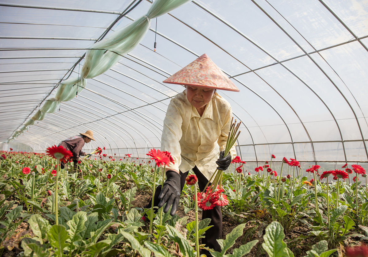 镇沅县职业高级中学果蔬花卉生产技术专业怎么样