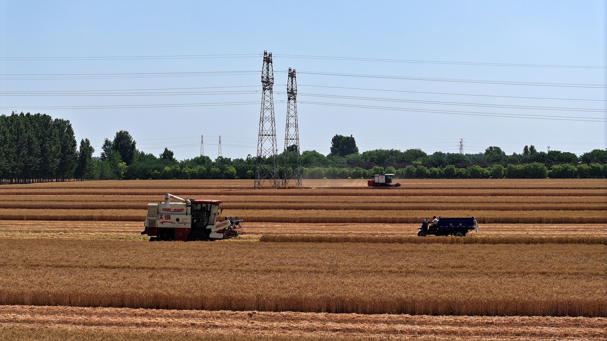 粮农组织援助落后国家案例：时间地点内容