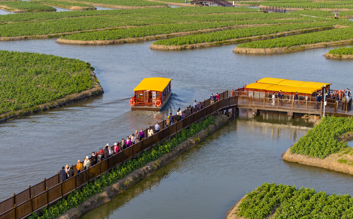 秦湖附近旅游景点大全， 秦湖附近旅游景点大全图片