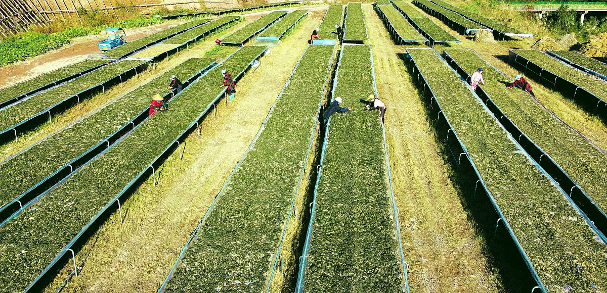 吉林最有前途的专业 哪些专业前景好