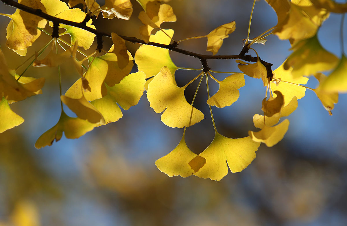昆明医科大学医学检验专业怎么样
