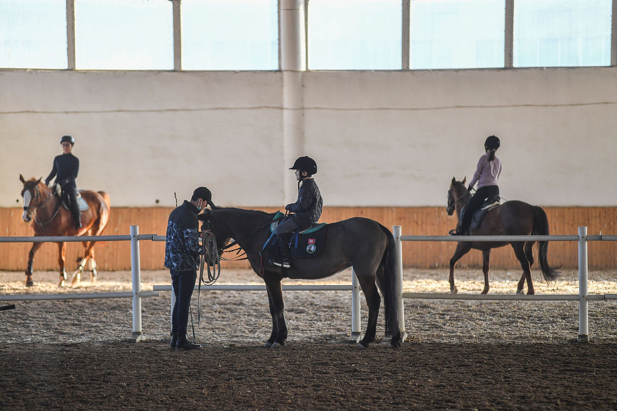 左雾训练赛：马术运动员的技能提升利器