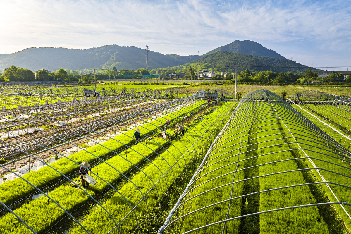 都市田园休闲项目建设必要性字数：中文2000字分点表达