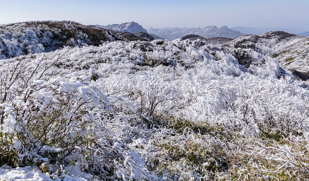 重庆南川隆化职业中学校农业机械使用与维护课程有哪些教学质量如何