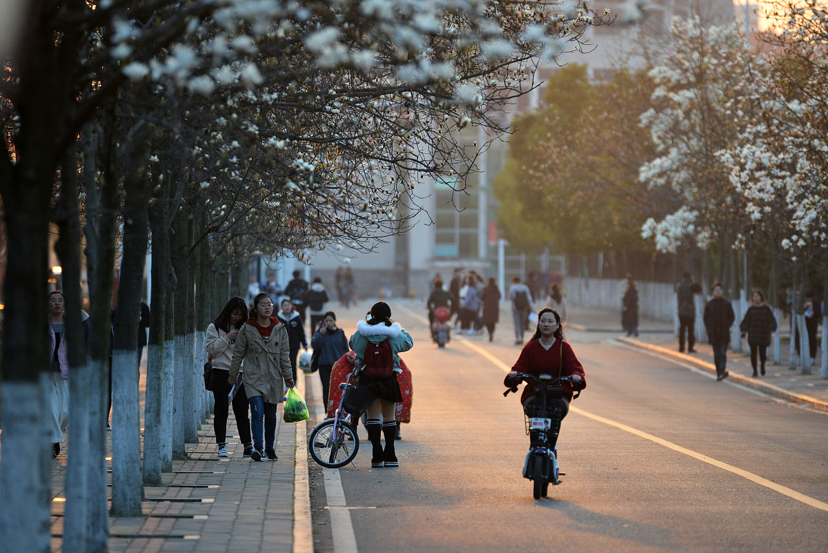重庆护理职业学院招生专业：2019年专业介绍及优势