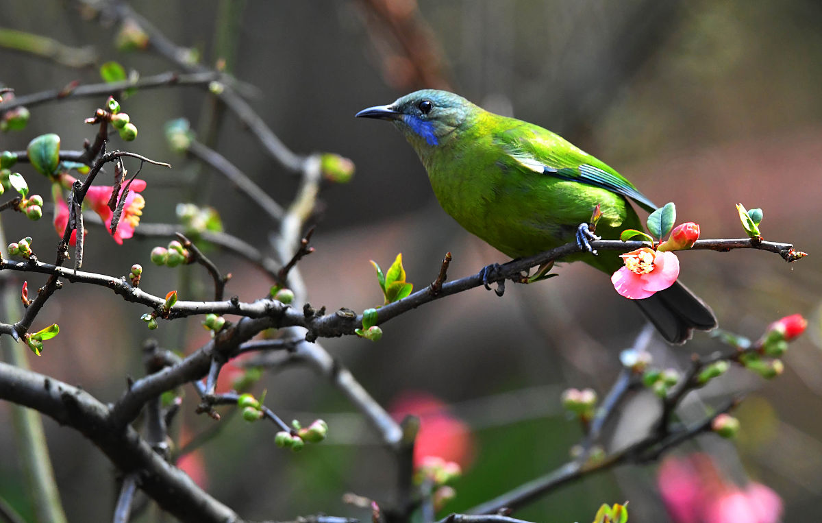 贵阳财经学校酒店管理专业怎么样？教学质量深度解析！