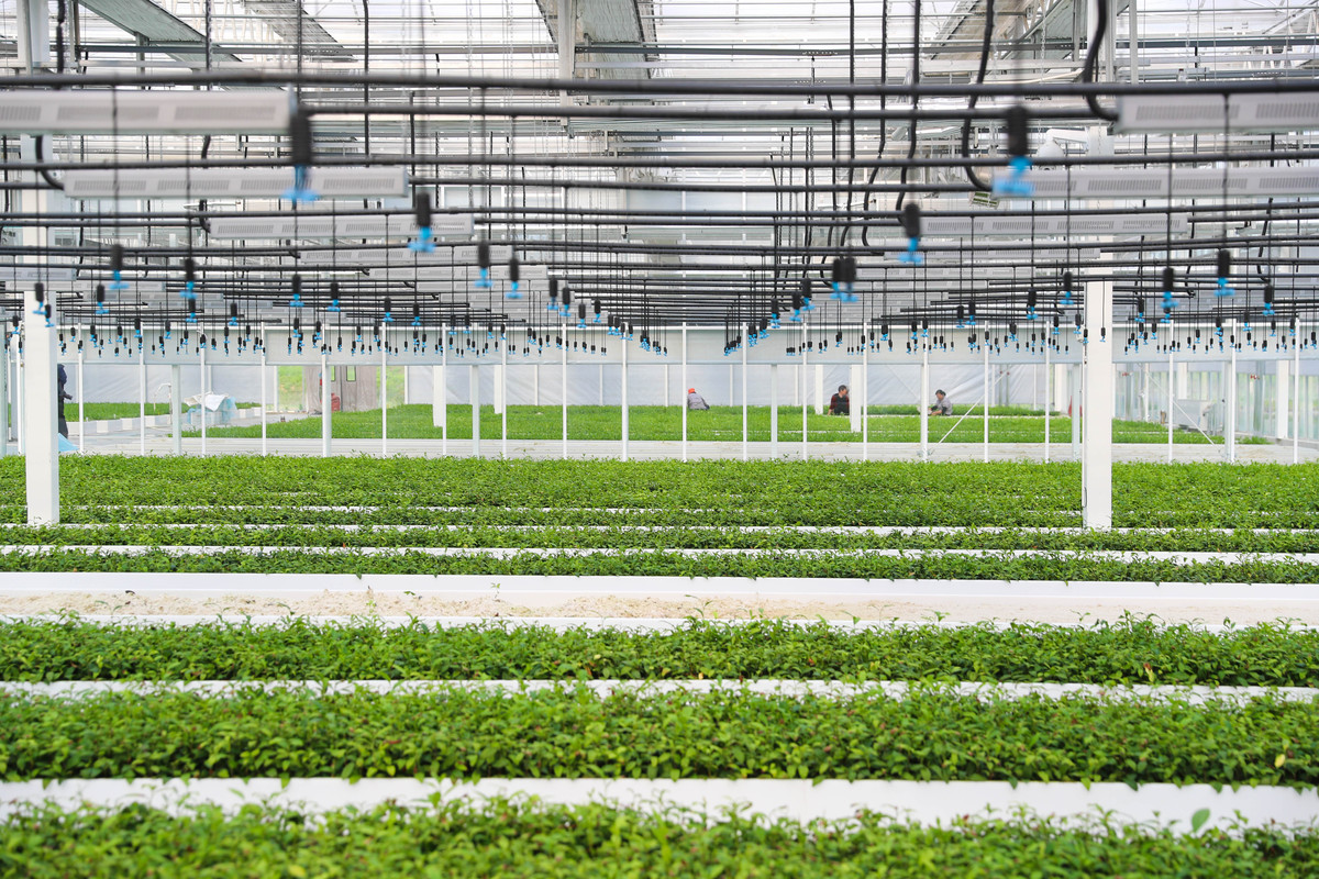 农业环境保护技术专科专业怎么样？