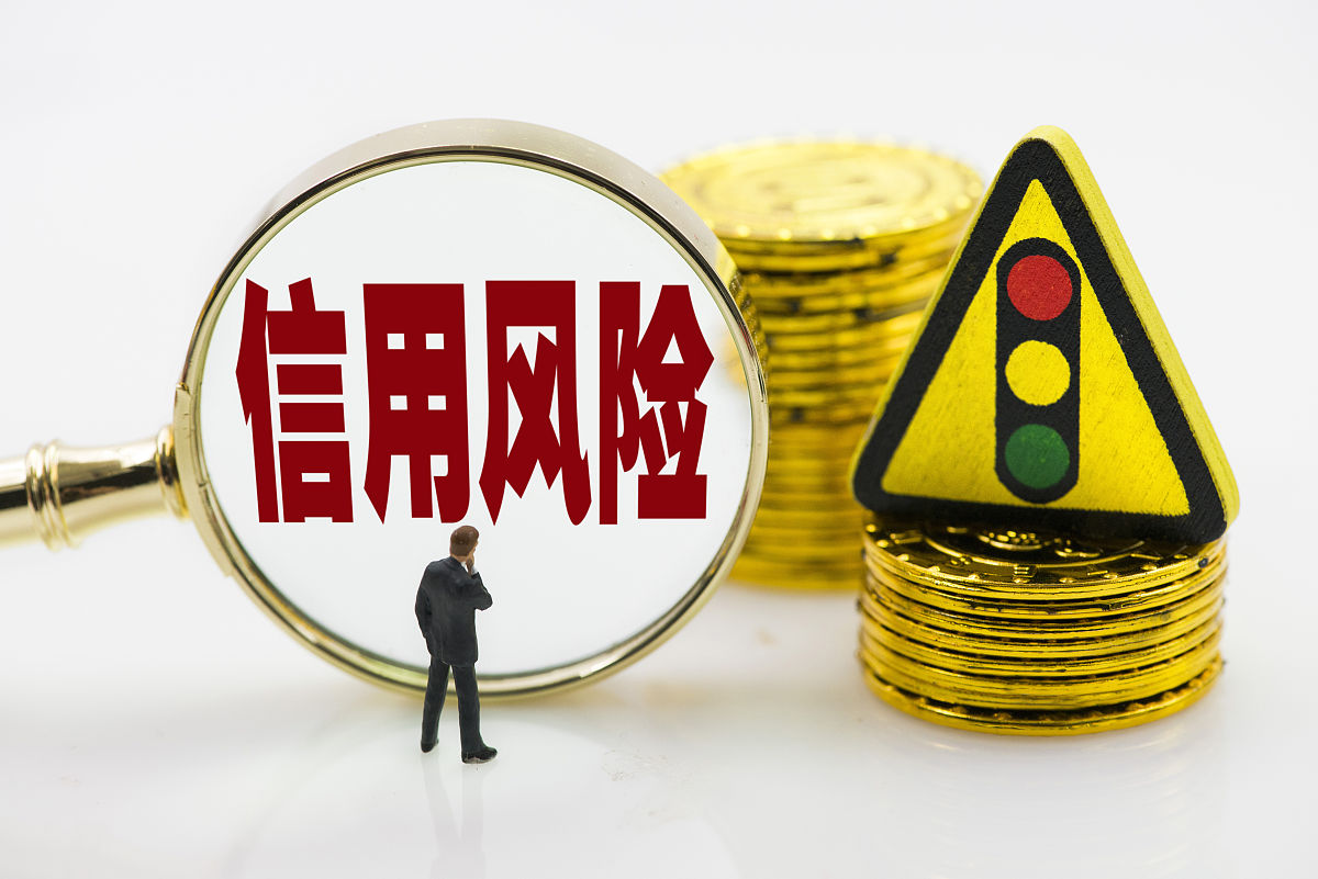 个人信用风险问题实例