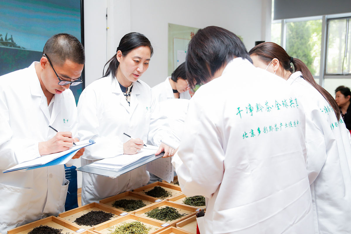 成都华大卫校中医康复保健专业课程设置：学习内容详解