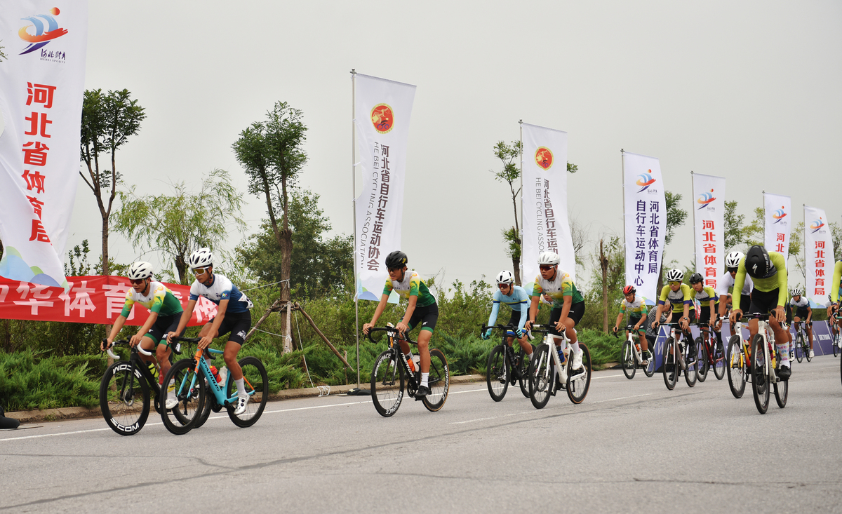 共享单车公益活动：我的经历与心得