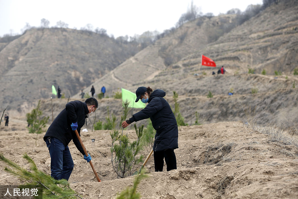 1 绪论	111研究背景	112研究目的	22基层林业站相关概述	221基层林业站的定义	222基层林业站工作职能	323基层林业站在现代林业建设中的作用	3231利于林业建设方面法律法规宣传	3232保障林业资源的安全	3233落实各项林业生产任务	3234推动林区的产业发展	33 延安市基层林业站发展现状	431延安市基层林业站基本情况	432延安市基层林业工作站职能发挥现状	4321森林
