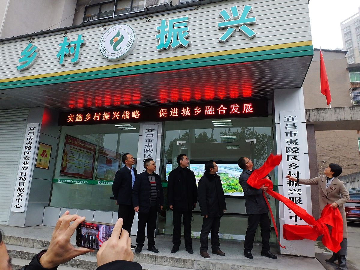 项目发展。20分两步走战略进行前期试点以江西省宜春市袁州区慈化镇为试点基层地区与江西省儿童医院达成合作开展了义诊、培训等线下帮扶活动主要向乡村基层提供服务为主中后期进行扩展优化开发APP承载更多的用户及医院将碎片化的地区融合逐步覆盖本省、临近省乃至全国使服务对象多元化；21在2019-20223时已完成了实地考察和调研在20223-20227完成了项目设计和公众号开发开展了两轮线下培训和义诊活动。