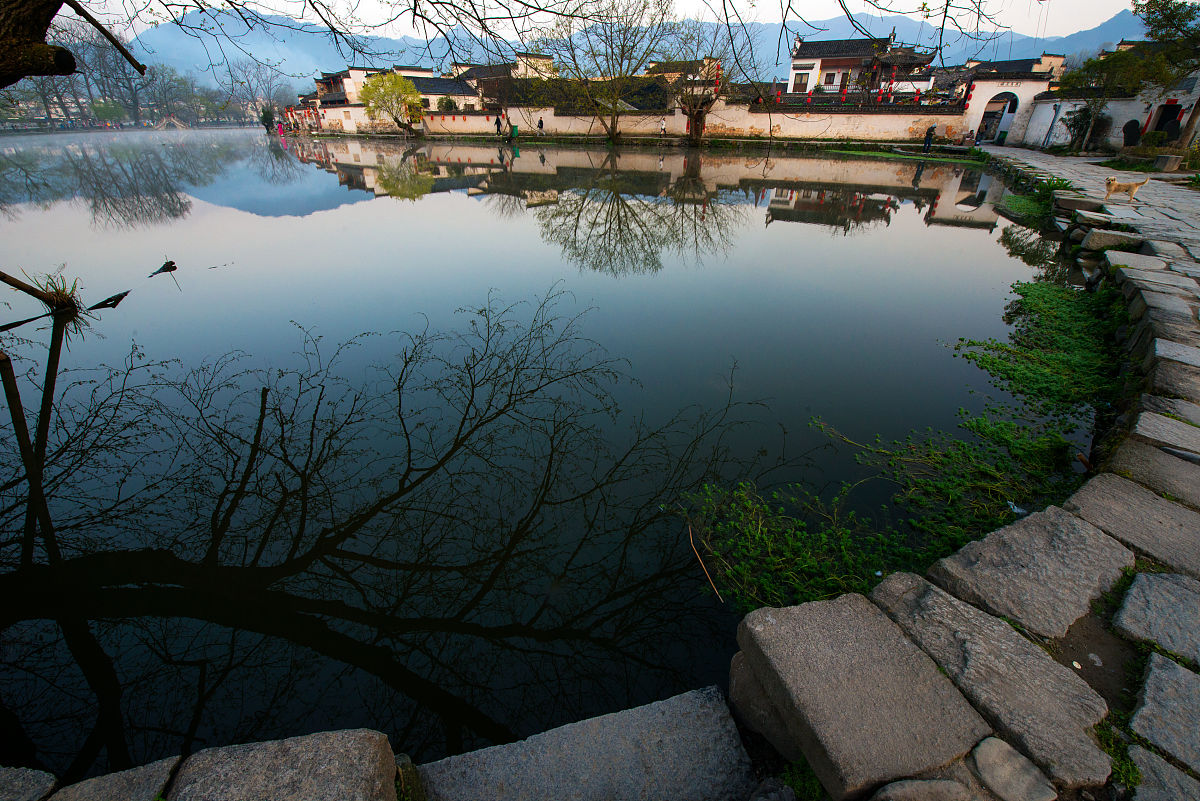 黄山休宁400年古鱼塘