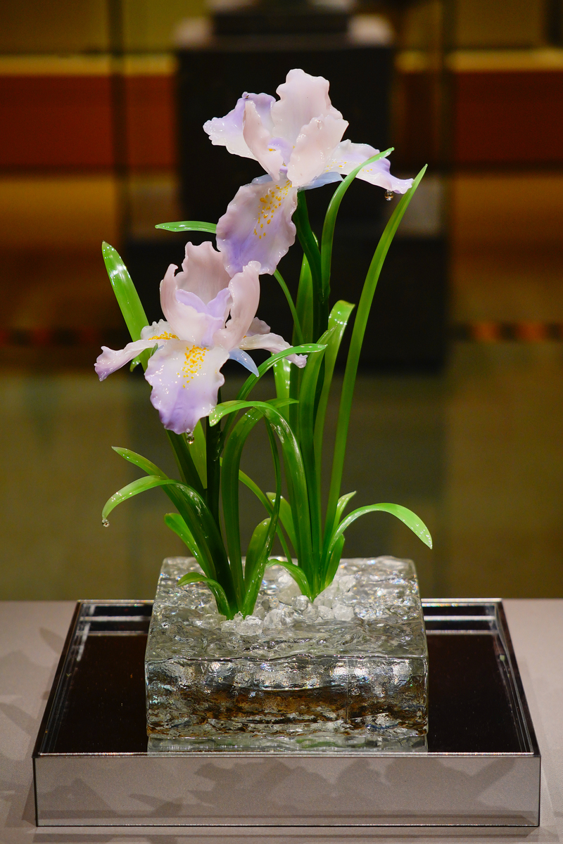 白掌水培：详细方法和注意事项 - 助你轻松养护