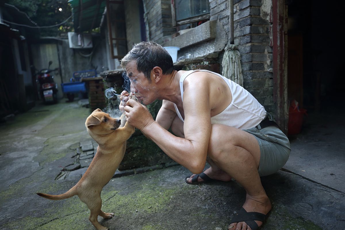 海盐县理工学校2023年招生条件及专业人数-好不好