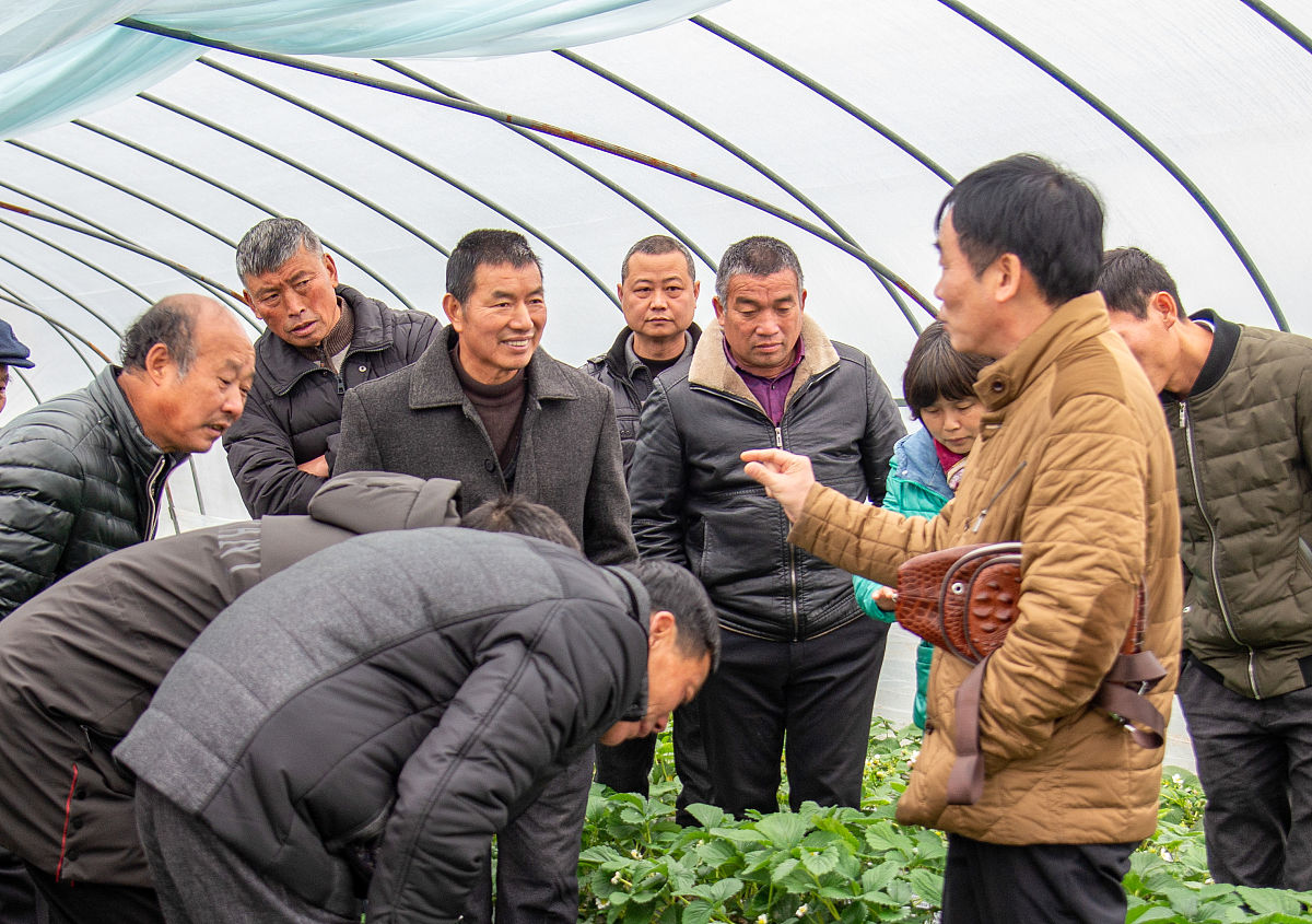 大学生村官的培养机制研究——以大沟村为例 论文大纲